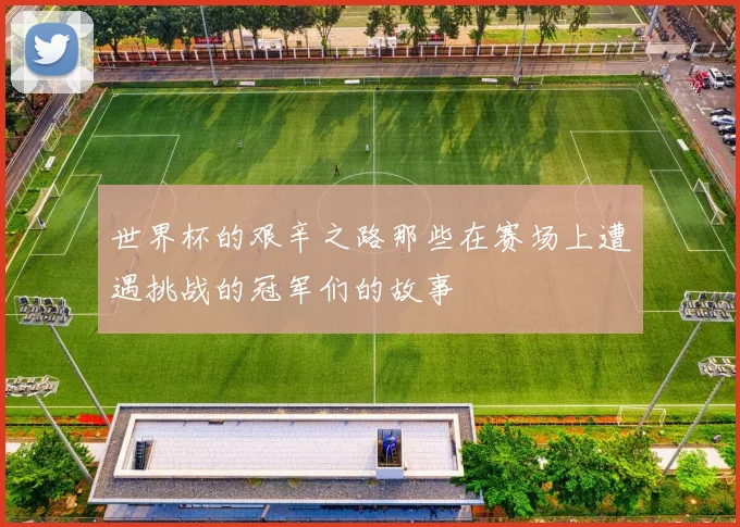 世界杯的艰辛之路那些在赛场上遭遇挑战的冠军们的故事
