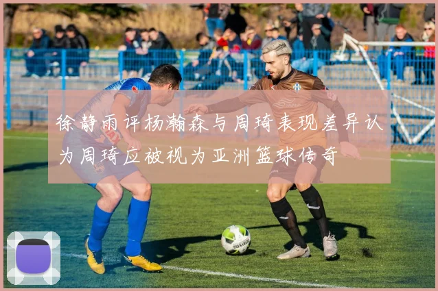 徐静雨评杨瀚森与周琦表现差异认为周琦应被视为亚洲篮球传奇